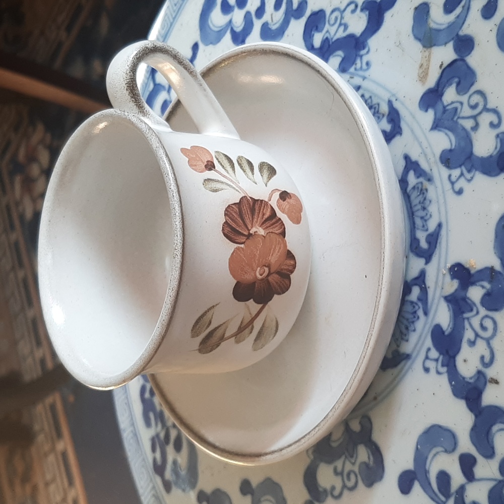 Vintage Denby Serenade cup & saucer
